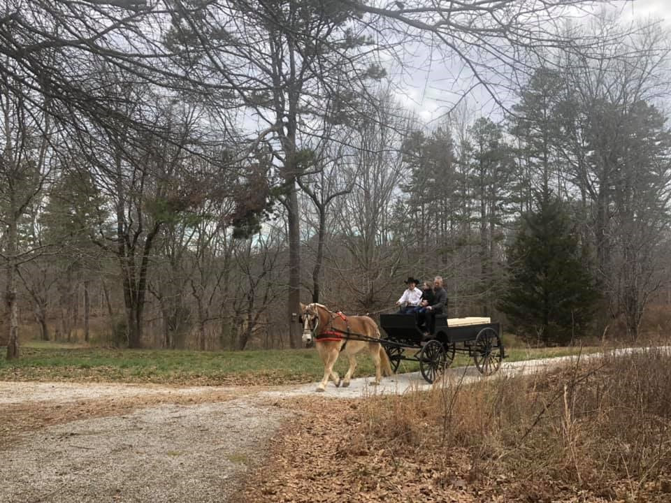 carousel chooser